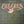 BEE GEES | MAIN COURSE - US
