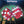 BAD COMPANY | STRAIGHT SHOOTER - US