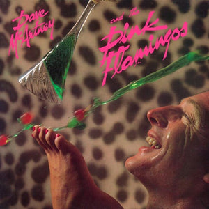 DAVE MCARTNEY PINK FLAMINGOS | DAVE MCARTNEY AND THE PINK FLAMINGOS