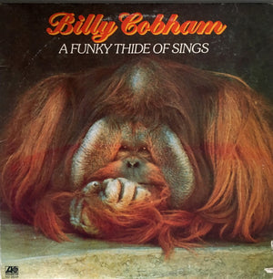 BILLY COBHAM | FUNKY THIDE OF SINGS - US