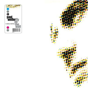 PAUL WELLER | FLY ON THE WALL - B SIDES AND RARITIES (3LP SET) (VINYL)