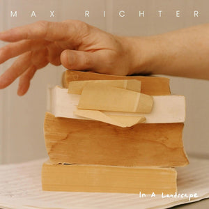 MAX RICHTER | IN A LANDSCAPE