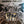 THIN LIZZY | JAILBREAK (VINYL)