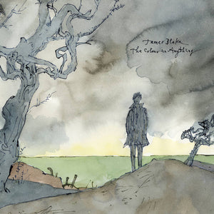 JAMES BLAKE | COLOUR IN ANYTHING (2LP SET) (VINYL)