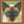 BLINK 182 | CHESHIRE CAT (VINYL)