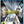 MOVIE BLACT | X-MEN FIRST CLASS (BLU-RAY) **