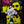 RASCALS | TIME PEACE - THE RASCALS GREATEST HITS - USA