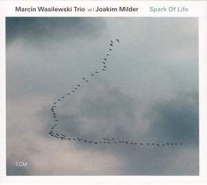 MARCIN WASILEWSKI | SPARK OF LIFE