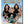 CHARLIES ANGELS - 2019 (DVD)