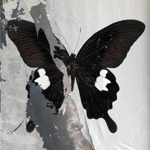 DEATH CULT | PARADISE NOW LP