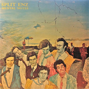 SPLIT ENZ | MENTAL NOTES - NZ INTERFUSION