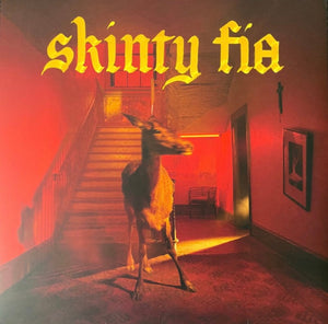 FONTAINES DC | SKINTY FIA