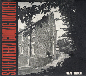 SAM FENDER | SEVENTEEN GOING UNDER (DIGI)