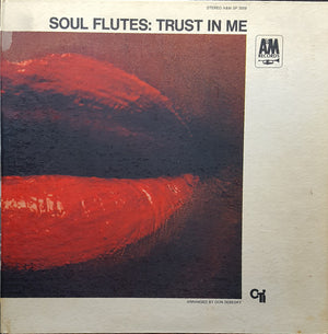 SOUL FLUTES | TRUST IN ME - BIT ROUGH