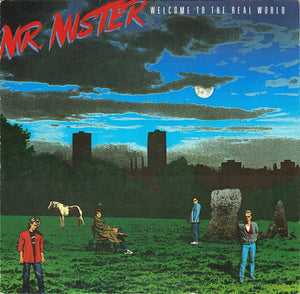 MR MISTER | WELCOME TO THE REAL WORLD - NZ / AU