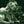 ALICE IN CHAINS | GREATEST HITS