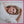 OLIVIA NEWTON JOHN | OLIVIAS GREATEST HITS VOL 2 - USA