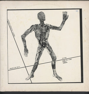 FEATURES | PERFECT FEATURES EXPOSED EP - 1980 NZ ORIGINAL BIT ROUGH