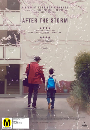 AFTER THE STORM