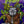 TEENAGE MUTANT NINJA TURTLES | SEARCH FOR SPLINTER