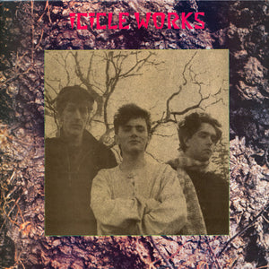 ICICLE WORKS | ICICLE WORKS - USA