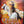 MOVIE MAR | ONCE UPON A TIME IN CHINA 2