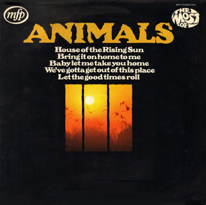 ANIMALS | MOST OF - UK