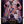 LEGEND OF BARON TOA