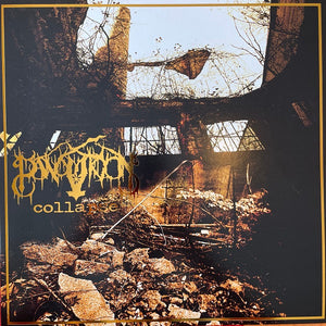 PANOPTICON | COLLAPSE - 2LP - 2022 REISSUE - GOLD WITH BLACK SPLATTER - WITH CD - SIGNED