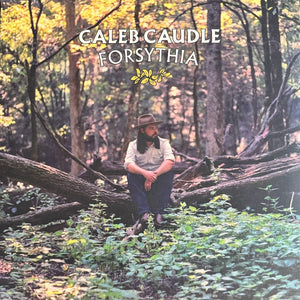 CALEB CAUDLE | FORSYTHIA - YELLOW