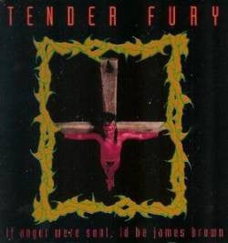 TENDER FURY | IF ANGER WERE SOUL ID BE JAMES BROWN