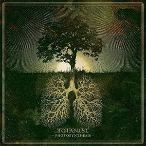 BOTANIST | PHOTOSYNTHESIS