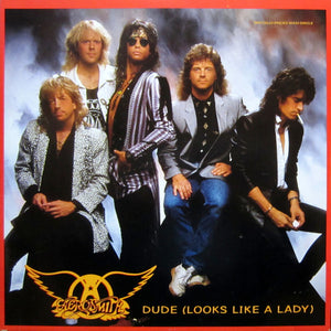 AEROSMITH | DUDE LOOKS LIKE A LADY - 12