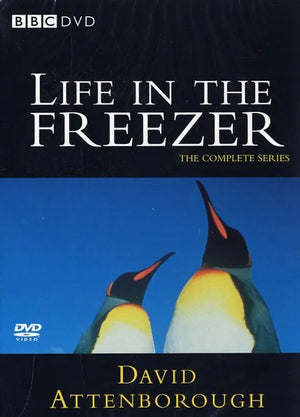 LIFE IN THE FREEZER | LIFE IN THE FREEZER