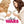 MOVIE CO | BRIDE WARS
