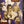 VARIOUS | GOLDEN AGE OF JAZZ
