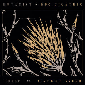 BOTANIST / THIEF | EPO CICATRIX / DIAMOND BRUSH - SIGNED