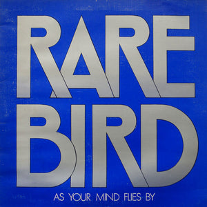 RARE BIRD | AS YOUR MIND FLIES BY