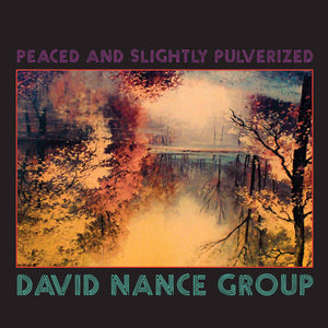DAVID NANCE GROUP | PEACED AND SLIGHTLY PULVERIZED