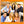 FRIENDS | FRIENDS SEASON 8 (3DVD)