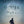 GONE GIRL
