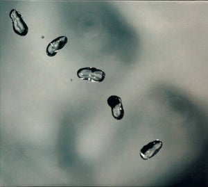 PETER GABRIEL | UP (DIGI)
