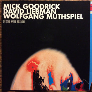 MICK GOODRICK / DAVID LIEBMAN | IN THE SAME BREATH