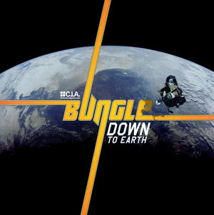 BUNGLE | DOWN TO EARTH