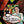 KIWI KITCHEN | KIWI KITCHEN SEASON 1