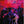NEIL YOUNG | RED ROCKS LIVE - VOL 1 FRIENDS AND RELATIVES