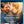 MOVIE BLUDR | HOLDING THE MAN (BLU-RAY)