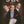 SILK | SILK SERIES THREE (2DVD)