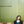 SARA WATKINS | SARA WATKINS