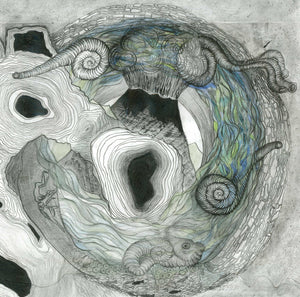 AINE ODWYER | GALLARAIS